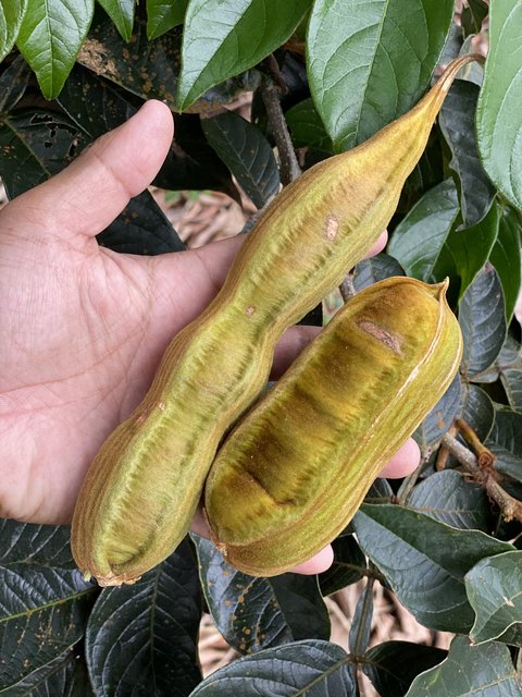 13AD9159-5F6E-45DA-A09F-0A4E2B09DCE0