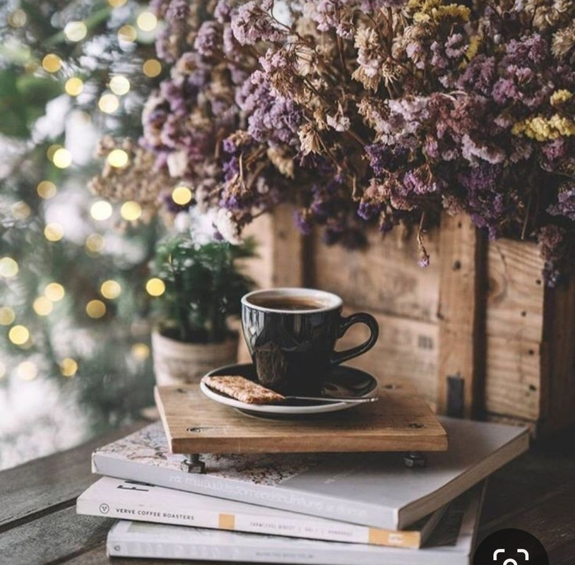 Screenshot_20240425_235828_Pinterest