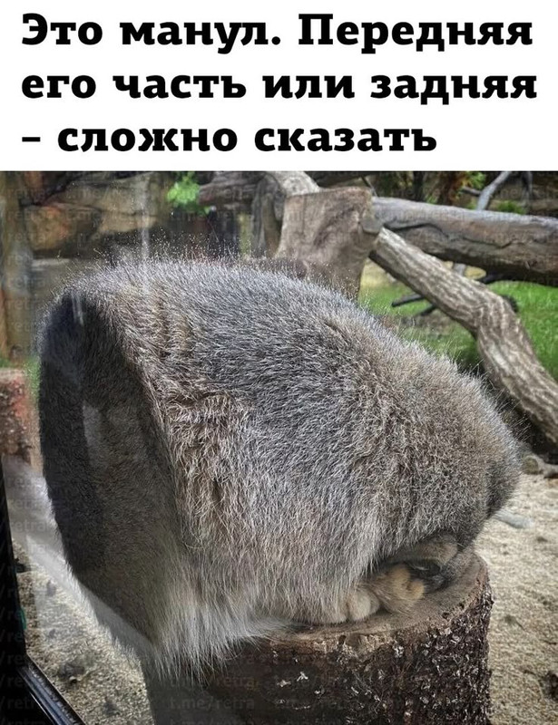 [Изображение: 2c42e439d80e5974f9930e27d0ffc96f.jpg]