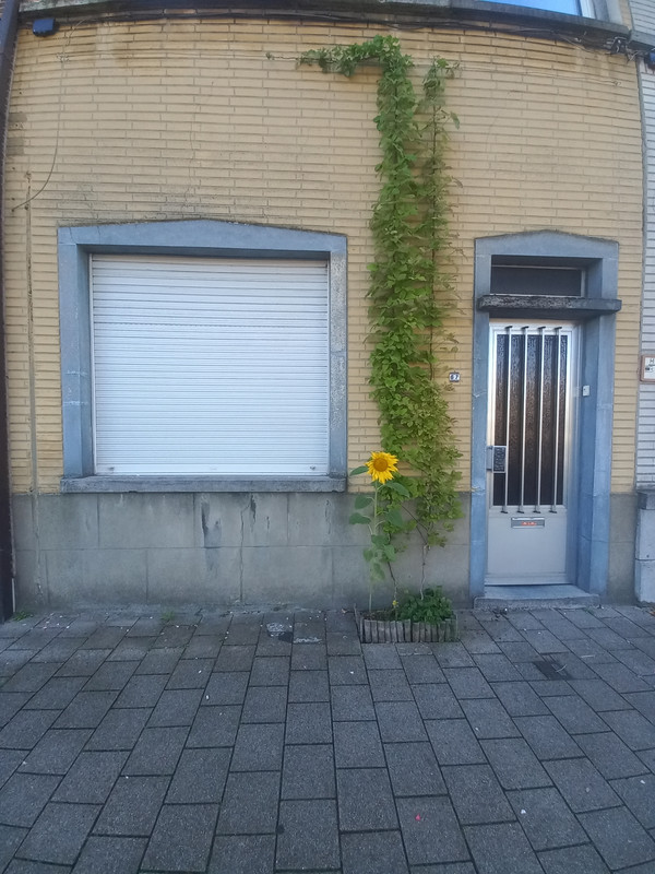 20230726-092422.jpg