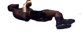 taywilder-removebg-preview.png