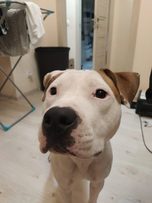 WhatsApp Image 2024-04-07 at 21.06.02 (2)