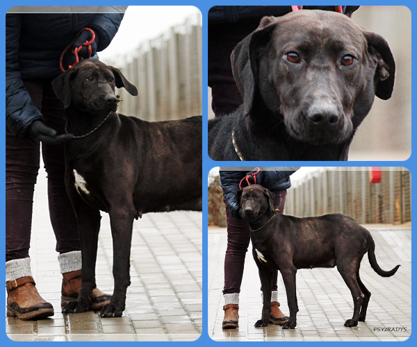 BeFunky-collage (23)