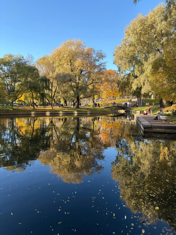 A9B239CC-9B95-4552-A558-E6ABBD75747C