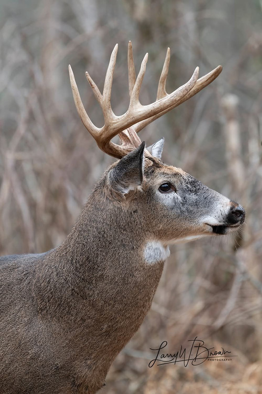 FB_IMG_1735713563349