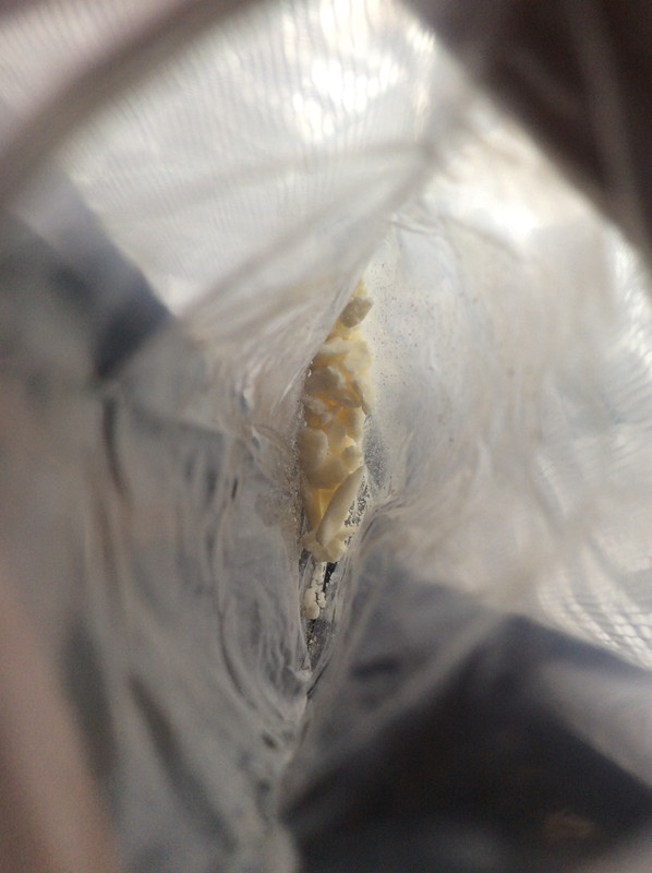 6B0D8E7E-E154-4B54-983B-426298820792