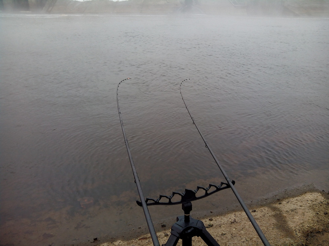 Добянка 05.11.14 03