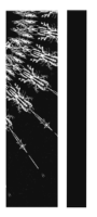 merriambanner