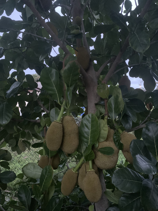 FEF0132A-C466-4C0F-9DC6-39649342E4F6