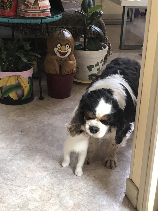 75B13551-2A1F-46F4-8DC9-FA202B73A393