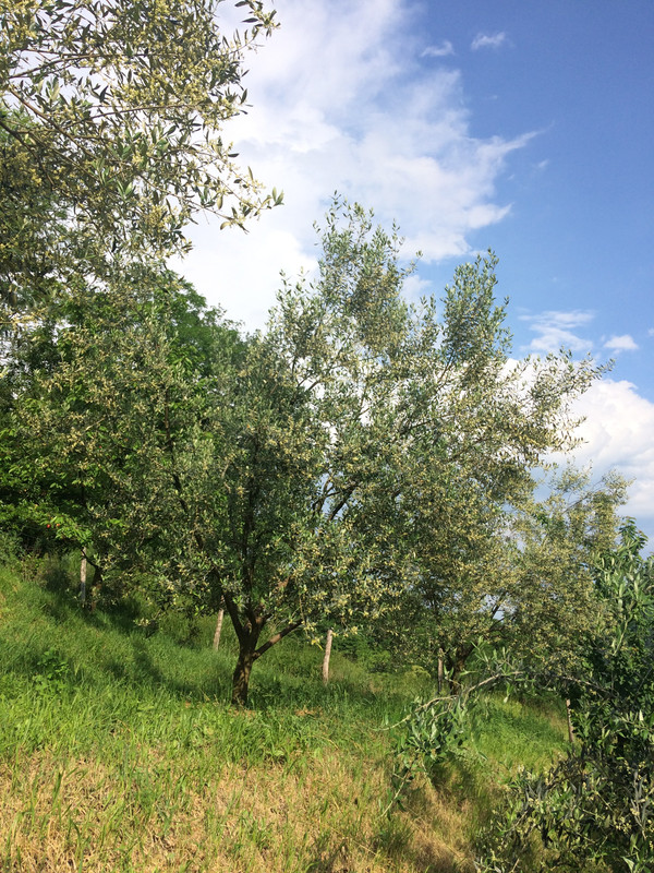 D6353896-3309-4D7B-9A84-5774A950B434