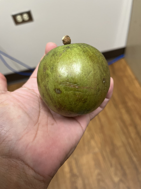 F6FC1CA2-E921-4B48-9B0B-3B54FCD51F21