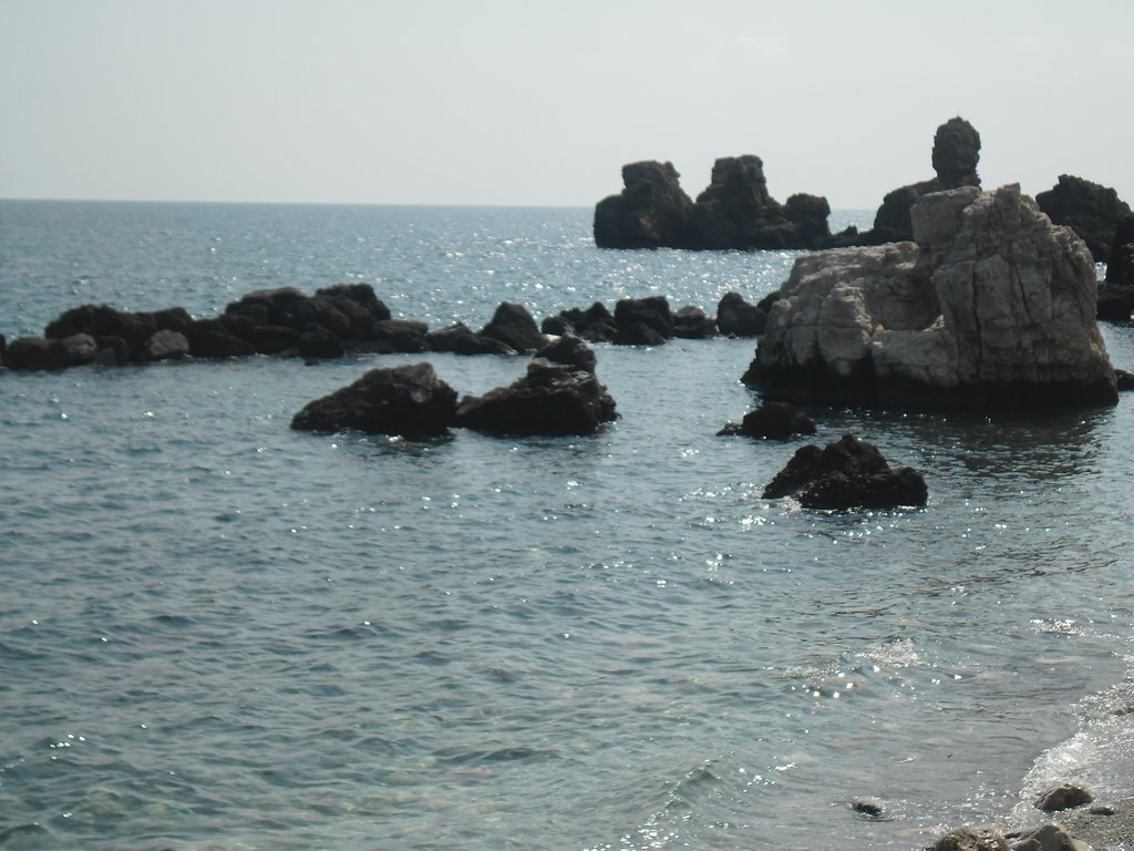 Slika