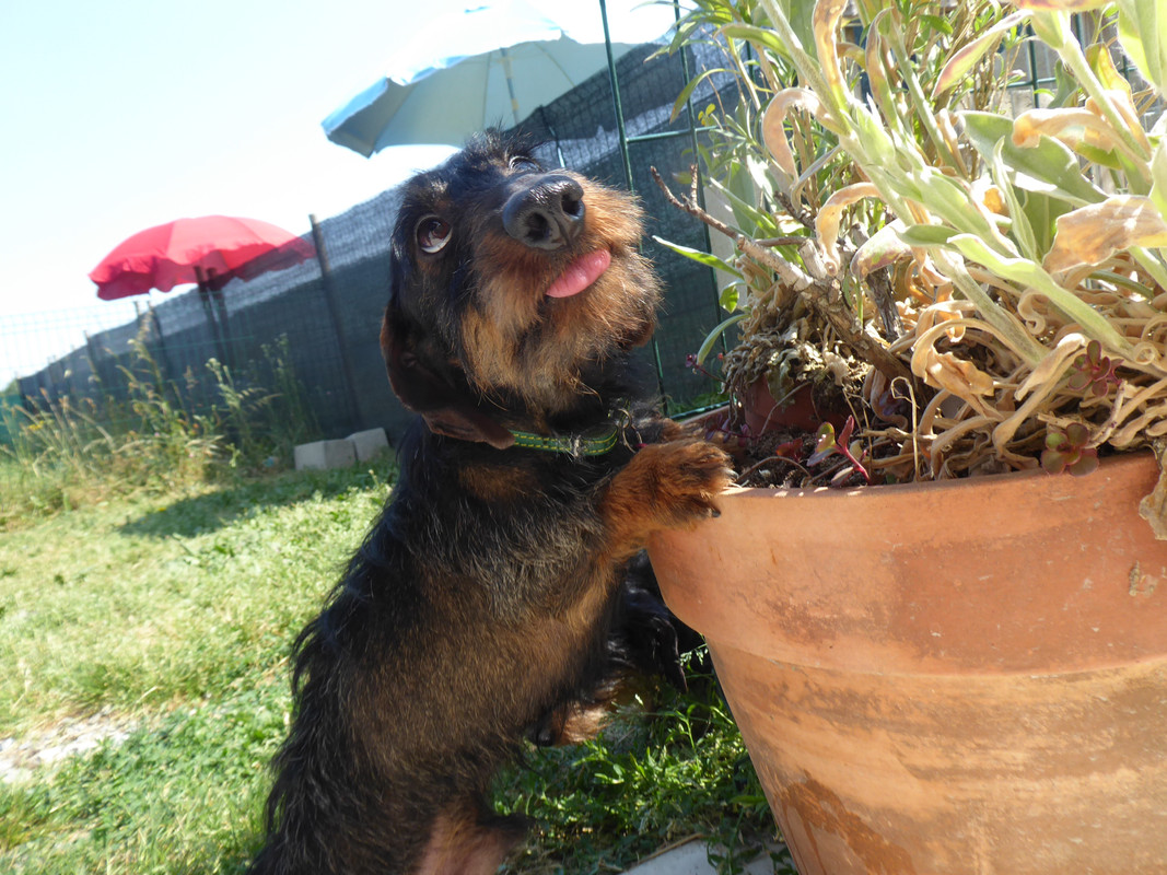 [Image: P1030280.jpg]