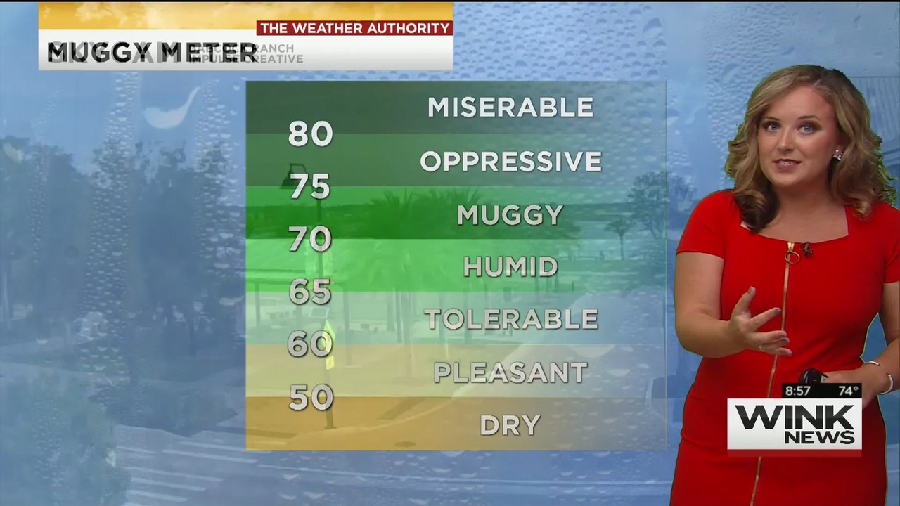 23 May - 14.00.00 - WINK News @ 9 00AM..ts_snapshot_00.01.44_[2020.05.23_17.10.25]
