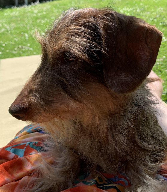 [Image: D80-BAB88-58-AE-4-CB3-8-B12-A08-A31271-BF3.jpg]