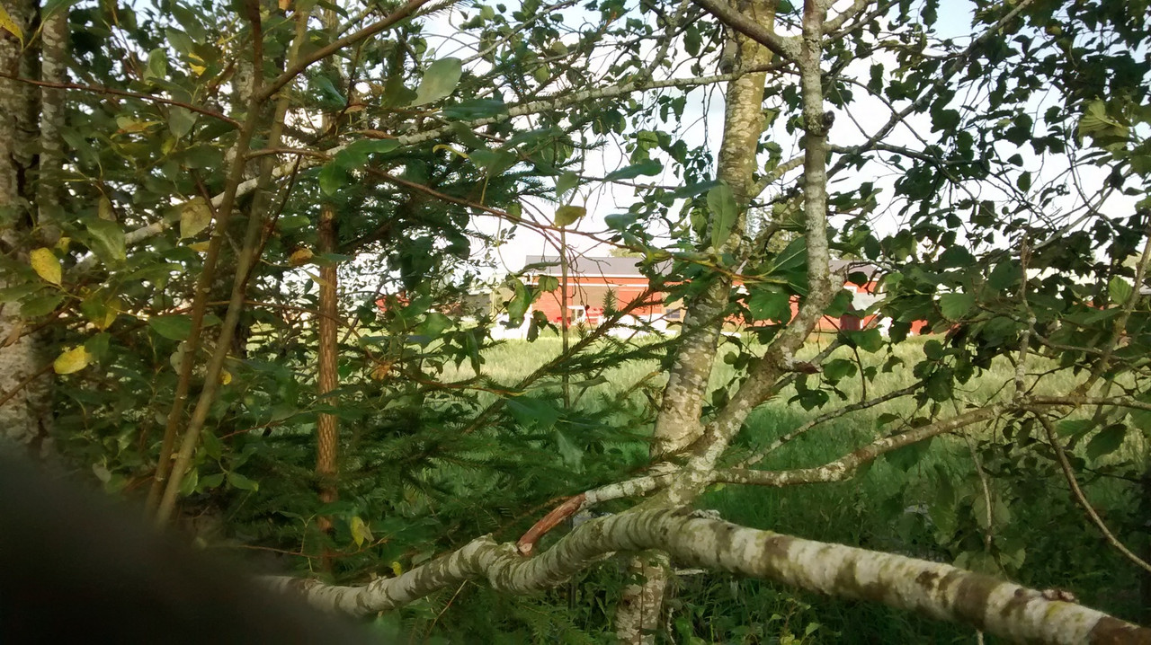 IMG_20140808_185856729