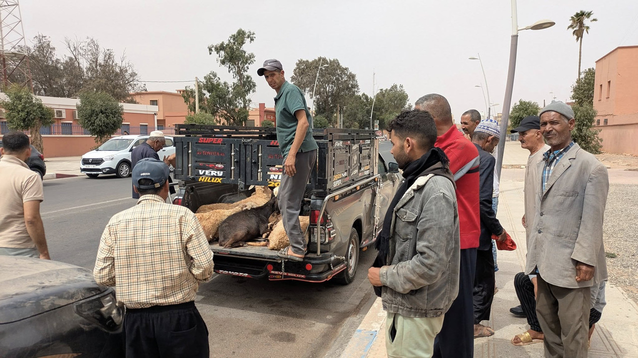 543765151-747068318130195-7793459255335214368-n