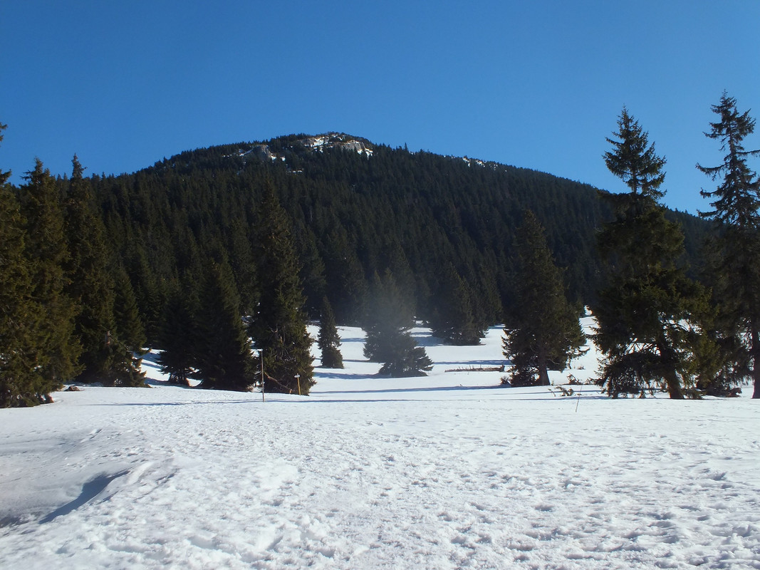 2019_0228WIELKI_CHOCZ0036