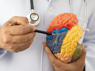 Neurologists