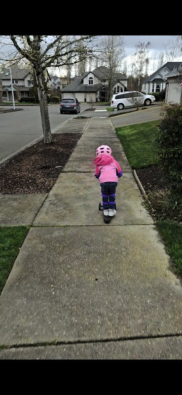 Screenshot_20240305_133418_Gallery