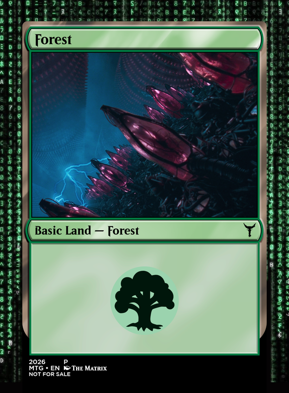 Forest