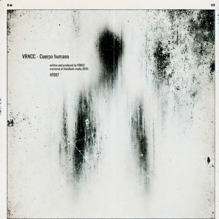 VRNCC - Cuerpo Humano (2025)