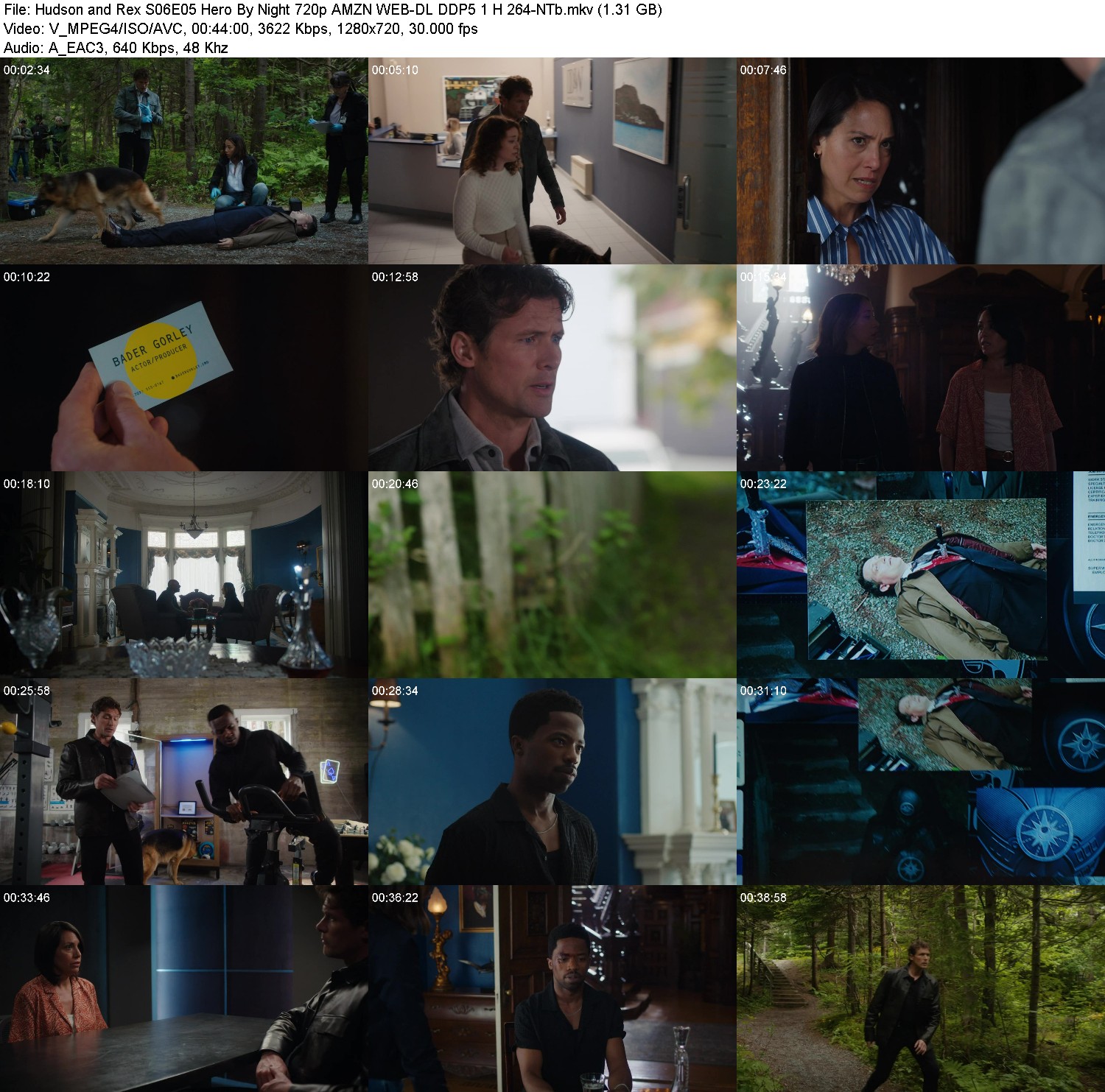 [Image: s6yxqv417fpr.jpg]