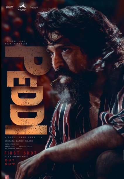 Peddi (2026) [Hindi-Telugu] NF WEB-DL H264 AAC 1080p 720p 480p ESub- 69movies.xyz