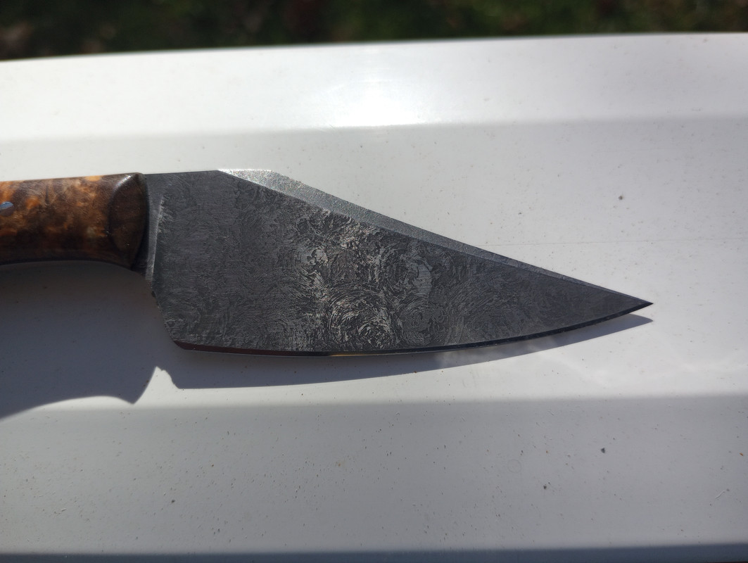 IMG_20231120_122738001