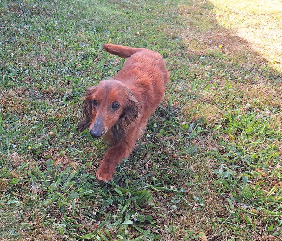 [Image: 20240814-100102.jpg]