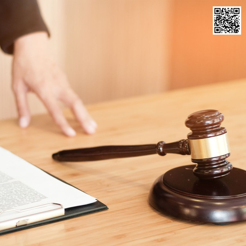 Exploring MN Auctions The New Marketplace for Budget-Friendly Deals