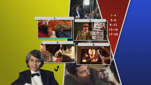 3 - Beethoven 6, La Gran Oportunidad [DVD9 Full][Pal][Cast/Ing/Tur][2008][Comedia]