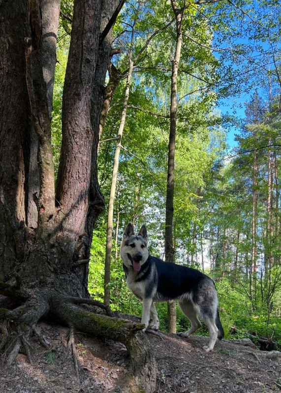 LCxhXt_mSNVRow7HbTKX0iqnjhSjLH_YcDCzhp729o7jOqgVrjHZBBpLla0vKpFt0eT91UR9DwyKB9QfGvkV9G8b