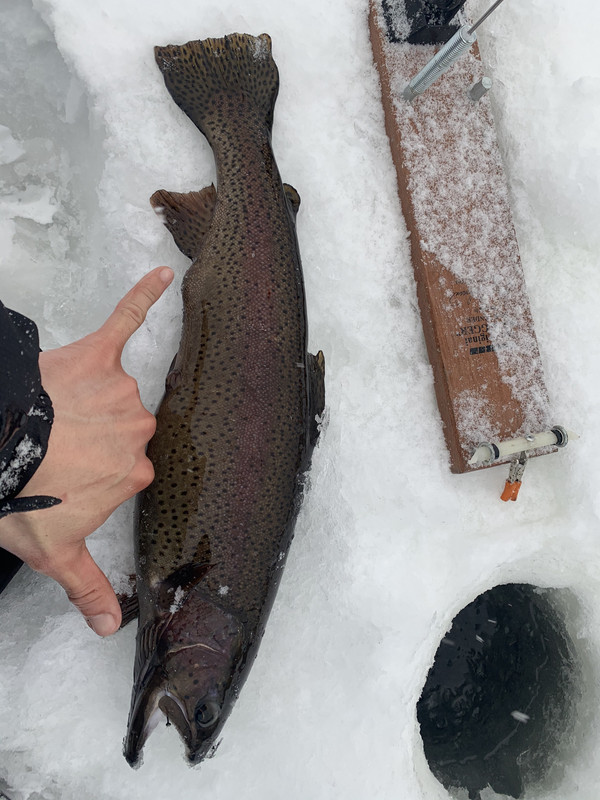 25B9DD98-8381-42CD-A6BC-990A9EDFC3F3