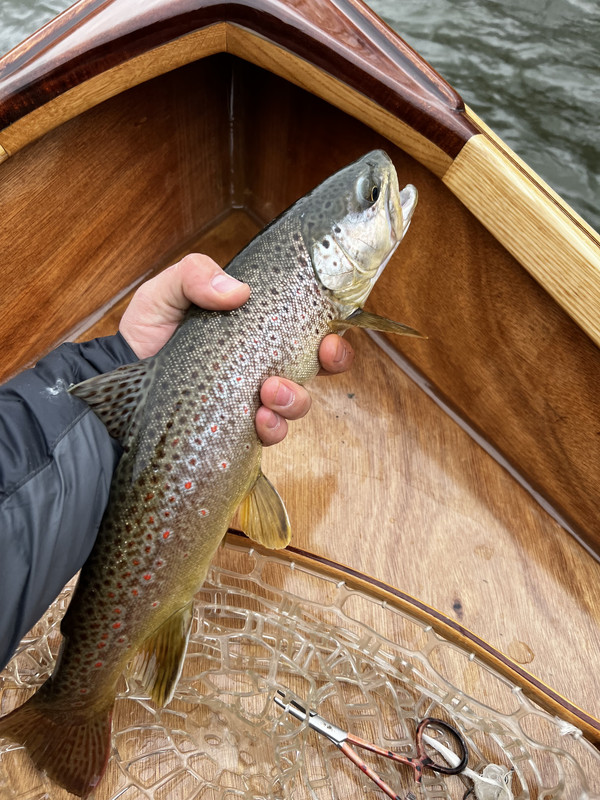 CBFF1868-5B94-4B07-A219-27A5AD567EB9