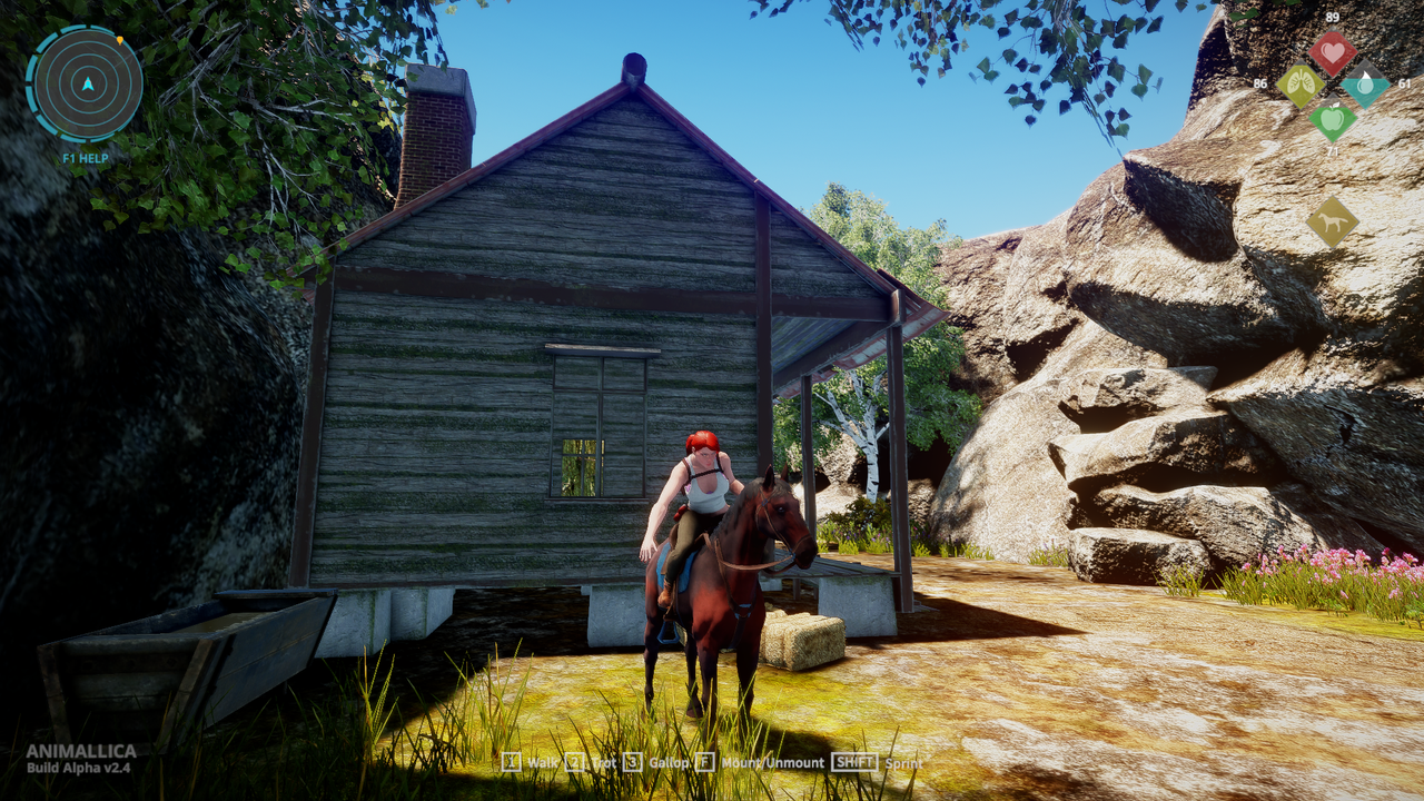 Animallica_2018-06-26_15-40-02