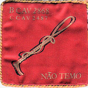 CCav2487