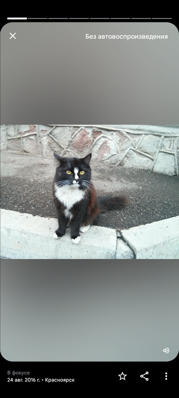 Screenshot_2023-05-27-18-42-07-622_com.google.android.apps.photos