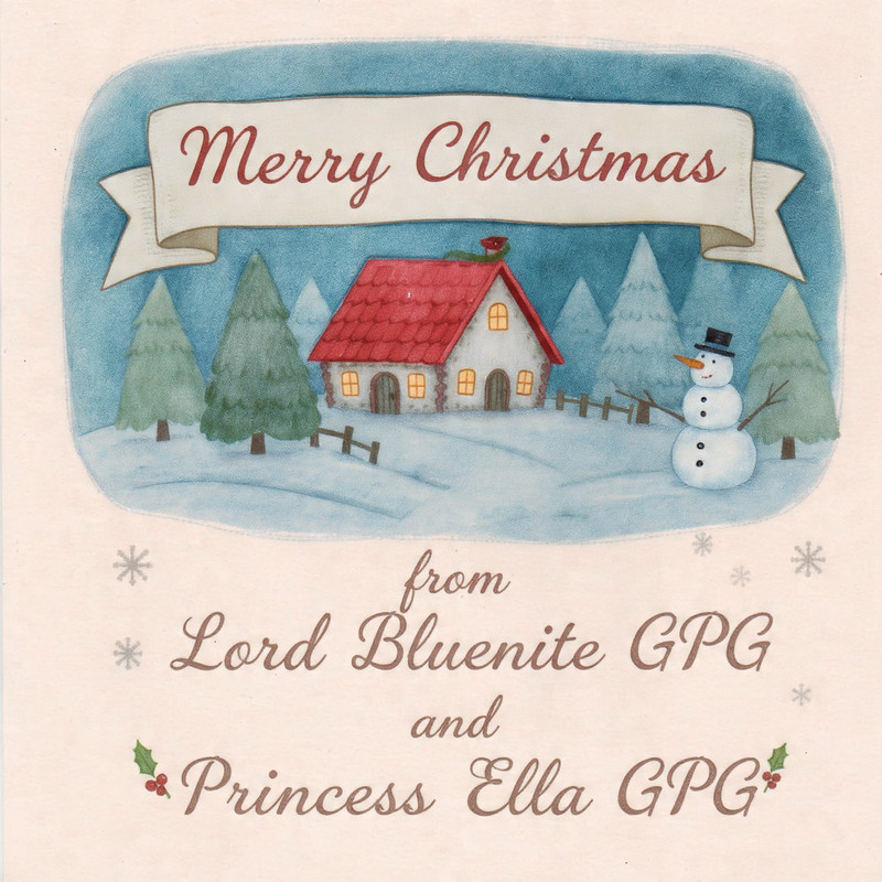 a-christmas-card-with-a-nice-christmasy