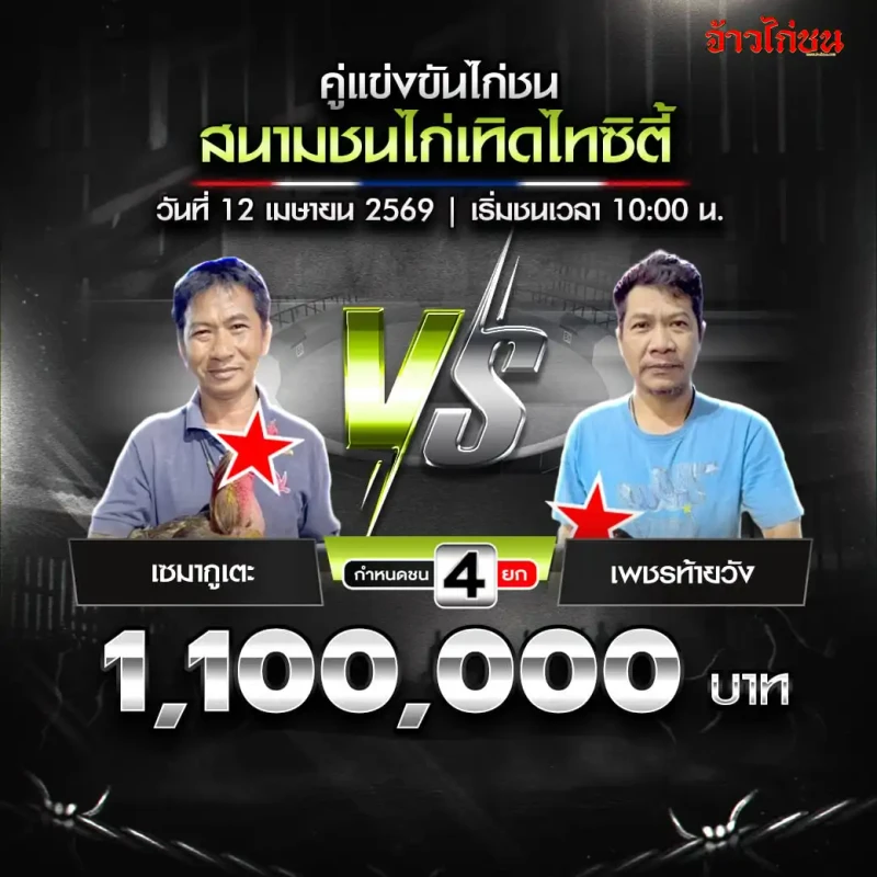 เซมากูเตะ พบ เพชรท้ายวัง โปรแกรมไก่ชน สนามชนไก่เทิดไทซิตี้