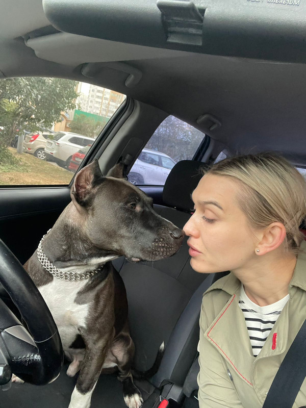 C88DA576-7CA5-4964-9A58-D5D9E575C5E6