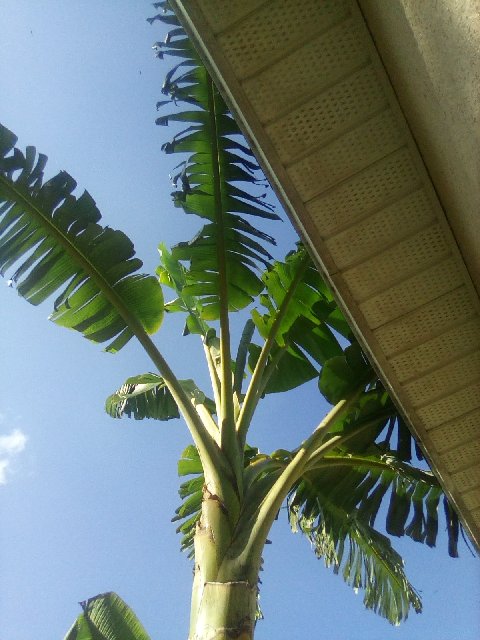 IMG_20200213_152124 (1)