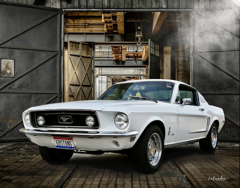 24527FD6-20C4-4CFA-A391-972060EAA43A