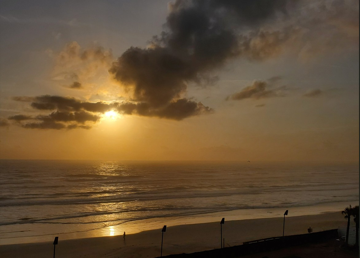 20230325FLSunrise Ormond Bch