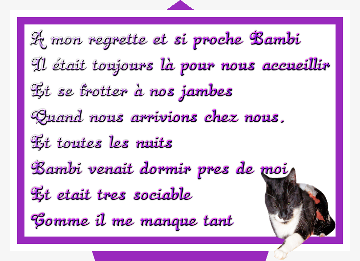 139-NMOIS-ba-bi