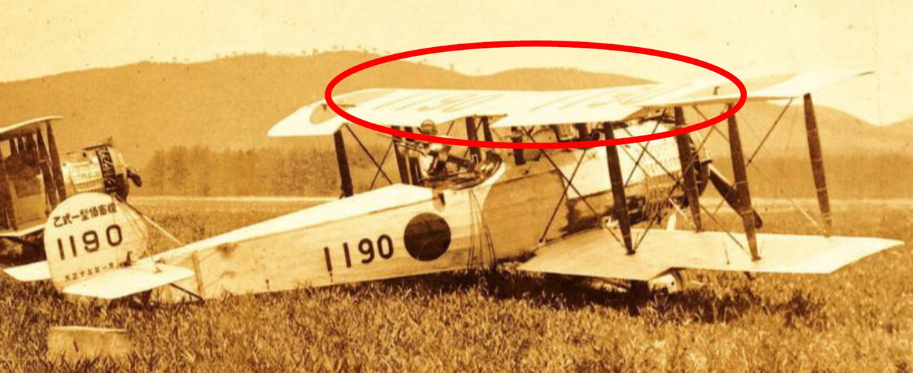 JapanSalmson02