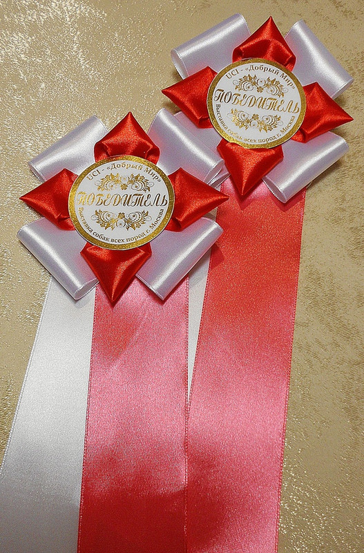 knVAFiuJvF71-N4TeShWQSnYBdEXWlHd46qKCQ_am-iii9Ef6PMCJbF3J6DEhjtnpBBVGp9TDk_pCPPgUe0FfHxr