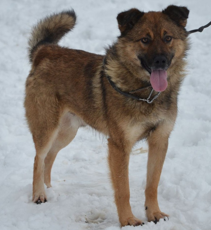 DSC_0083меньше