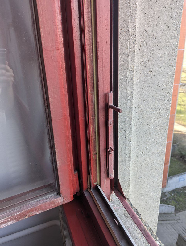 photo 6062318765073961429 y